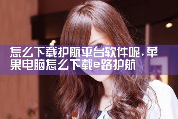 怎么下载护航平台软件呢
