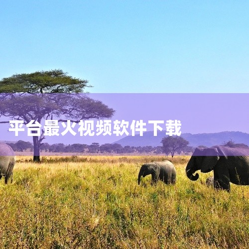 《短视频app软件下载大全》打包了当前市面上多款主流及新兴的短视频应用程序安装包,方便用户一键对比与选择。资源涵盖了音乐舞蹈、搞笑幽默、美食探店、科技评测等不同垂直领域的头部APP。每个应用均经过安全|