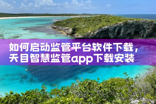 如何启动监管平台软件下载