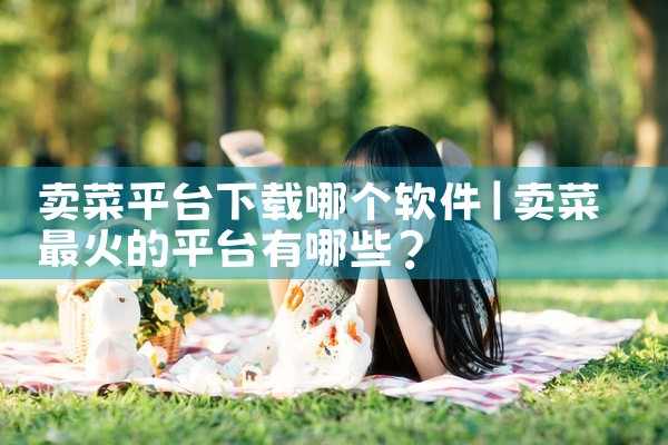卖菜平台下载哪个软件