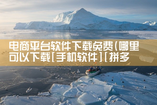 电商平台软件下载免费