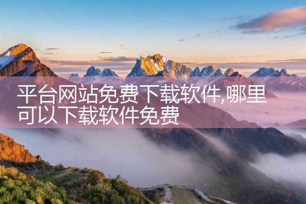 平台网站免费下载软件