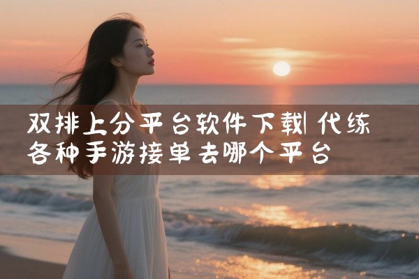 双排上分平台软件下载