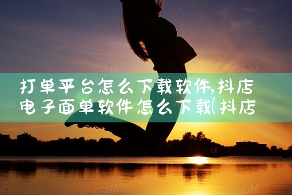 打单平台怎么下载软件