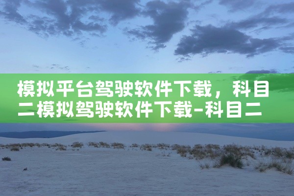 模拟平台驾驶软件下载
