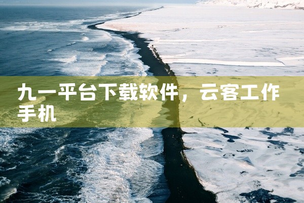 九一平台下载软件