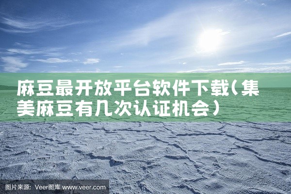 麻豆最开放平台软件下载