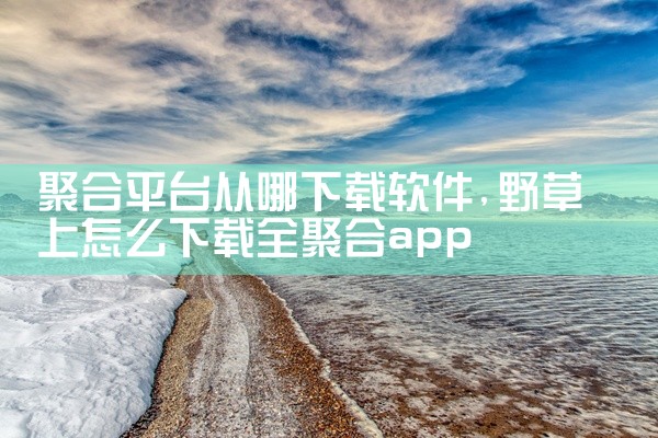 聚合平台从哪下载软件