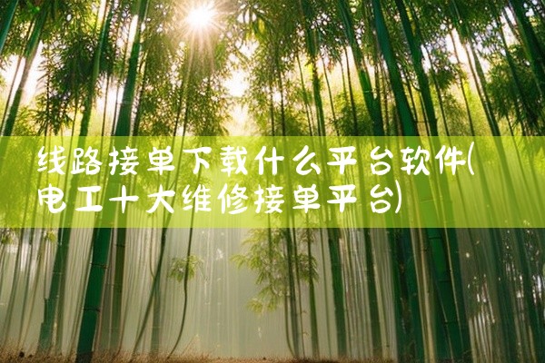线路接单下载什么平台软件