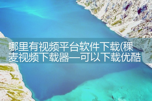 哪里有视频平台软件下载