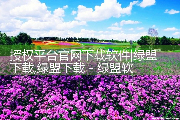 授权平台官网下载软件