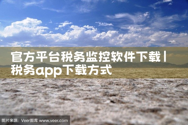 官方平台税务监控软件下载