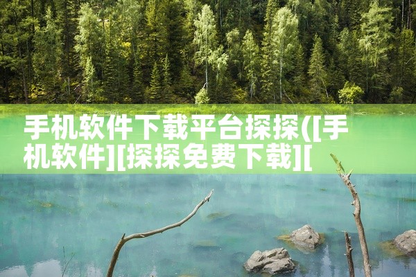手机软件下载平台探探