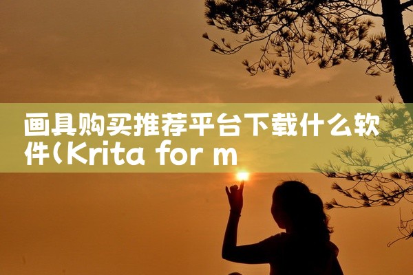 画具购买推荐平台下载什么软件