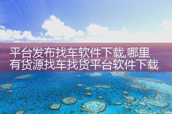 平台发布找车软件下载