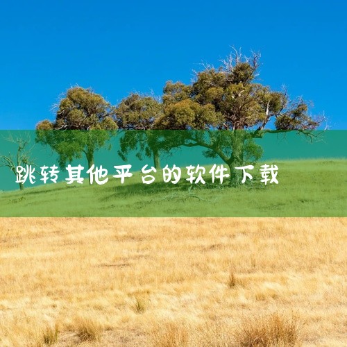 页面中通常会提供二维码，用户使用手机扫描二维码后，即可直接跳转到下载页面，完成下载并安装到手机。二维码扫描下载方式便捷，适合快速获取应用。但需注意，第三方平台可能存在软件版本更新不及时或安全性风险，建,